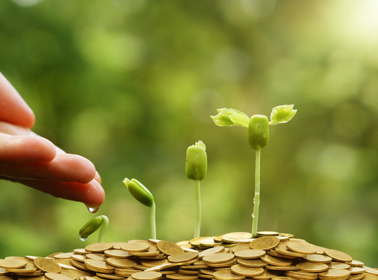 Sociaal herstelplan Ieper