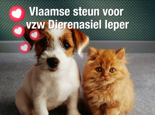 Vlaamse steun dierenasiel Ieper
