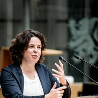Eva Ryde Vlaams Parlement